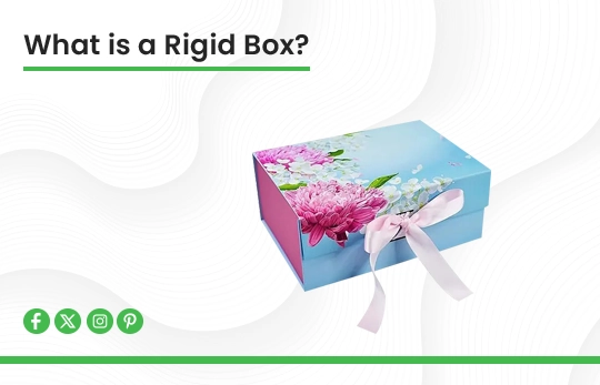 Read more about the article What is a Rigid Box? Detailed Insights and Uses