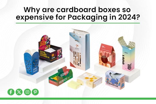 Read more about the article Why are cardboard boxes so expensive for Packaging in 2024?