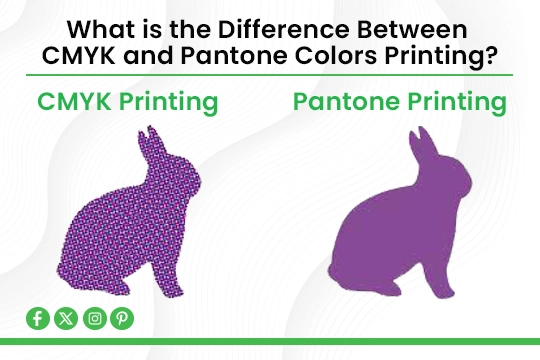 Read more about the article What is the Difference Between CMYK and Pantone Colors Printing?