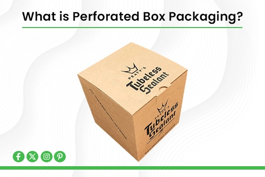 Read more about the article What is Perforated Box Packaging?