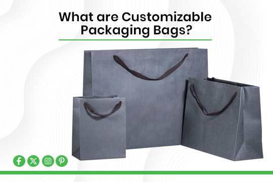 Read more about the article What are Customizable Packaging Bags?