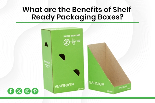 Read more about the article What are the Benefits of Shelf Ready Packaging Boxes?