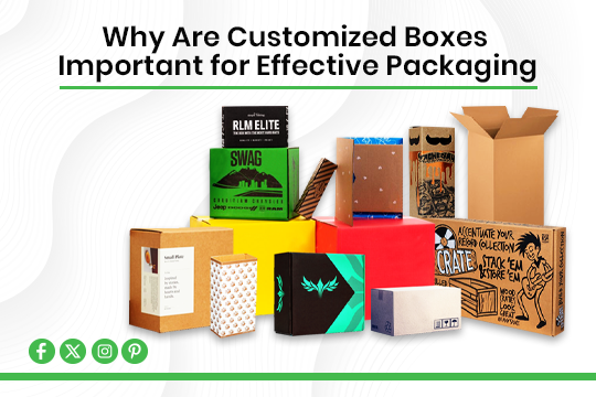 Why Are Customized Boxes Important for Effective Packaging?